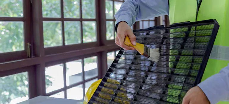 Traditional Window Grille Installation Options in Mountain View, CA