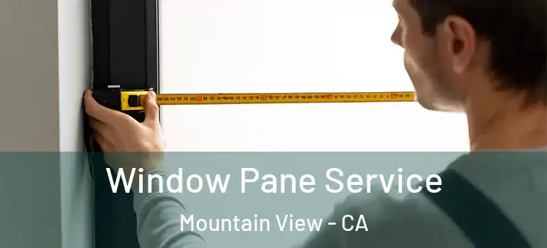  Window Pane Service Mountain View - CA